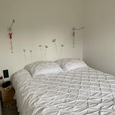 Mont Blanc Holidays Dans Residence Avec Gardien Саланш Екстериор снимка
