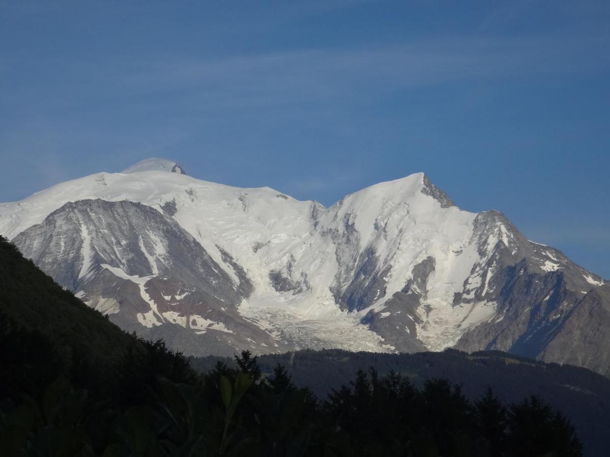 Mont Blanc Holidays Dans Residence Avec Gardien Саланш Екстериор снимка