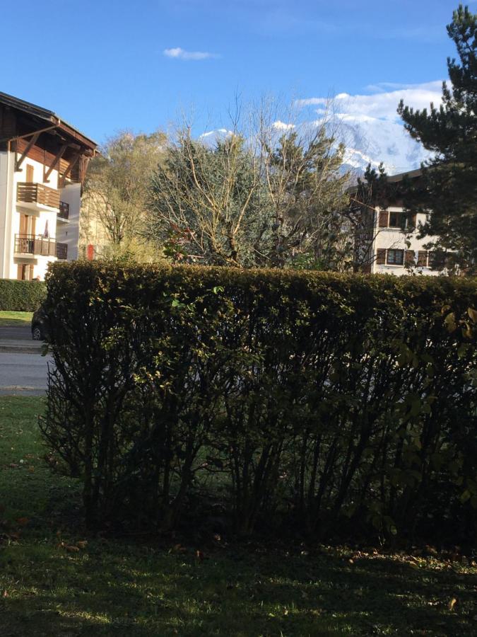 Mont Blanc Holidays Dans Residence Avec Gardien Саланш Екстериор снимка